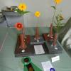First Place Display of Perennials.  Leona Brownell.  Winner of Collector's Showcase Award.