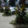 Flowers along Broadway in Schuylerville.