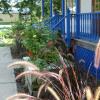 Flowers planted by SGC at the Schuylerville Visitor's Center.