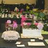 Horticulture Division with the Display of Perennials in the front.  This is a artistic display of 5 different cut specimens in individual containers.